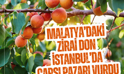Malatya’daki zirai don İstanbul’da çarşı pazarı vurdu