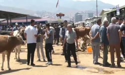 Canlı Hayvan Pazarı'nda bayram yoğunluğu