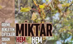 Ödeme bekleyen çiftçilere soğuk duş | Miktar hem küçük hem de…