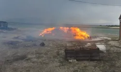 Malatya’da 41 noktada yangın çıktı