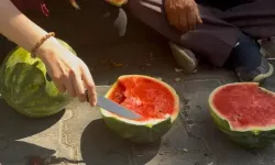 Tecrübe yapay zekayı geride bıraktı