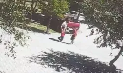 Bitlis’te başıboş köpek kâbusu: Küçük kız son anda kurtarıldı