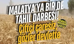 Malatya’ya bir de tahıl darbesi! | Çiftçi çaresiz, gözler devlette