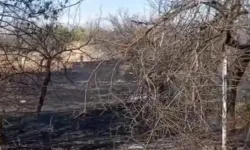 Battalgazi’de bahçe yangını rüzgarın etkisiyle yayıldı