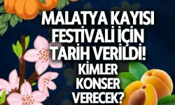Malatya Kayısı Festivali için tarih verildi! Kimler konser verecek?