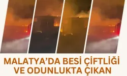 Malatya’da besi çiftliği ve odunlukta çıkan yangın korkuttu