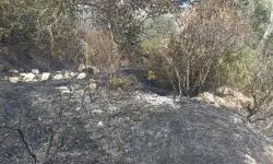 Darende'de bahçe yangını son anda söndürüldü