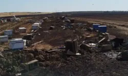 Anız yangını 400 arı kovanını kül etti
