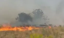 Doğanyol’da bahçede çıkan yangın söndürüldü