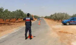 Gaziantep’te fıstık bahçelerinde dron destekli hırsızlık denetimi