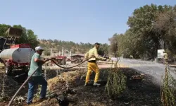 2 bin 500 yıllık antik kente yangın tehdidi: Stratonikeia'nın ciğerleri yandı