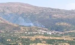 Malatya'da orman yangınına helikopterli destek
