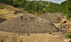 Muş dağlarında üretiliyor Malatya’ya gönderiliyor