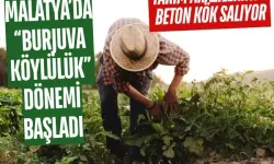 Malatya’da “burjuva köylülük” dönemi başladı: Tarım arazilerinde beton kök salıyor