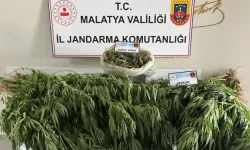 Yeşilyurt’ta uyuşturucu operasyonu: Yüzlercesi ele geçirildi