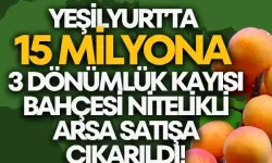 Yeşilyurt’ta 15 milyona 3 dönümlük kayısı bahçesi nitelikli arsa satışa çıkarıldı!
