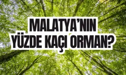 Malatya’nın yüzde kaçı orman? Fidan dikimleri yapılıyor mu?