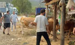 Karabük’te orman yangını: 80 haneli köy tahliye edildi
