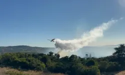 Çanakkale'de orman yangını kontrol altına alındı