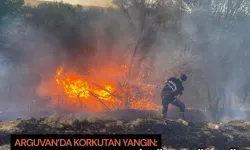 Arguvan’da korkutan yangın: Meyve bahçeleri küle döndü