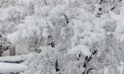 Malatya’nın o ilçesinde kar kalınlığı 1 metreye yaklaştı