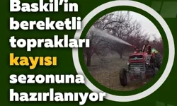 Baskil’in bereketli toprakları kayısı sezonuna hazırlanıyor