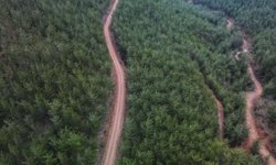 Malatya’da 10 kilometrelik Yeni orman yolu yapımı ihaleye çıkıyor