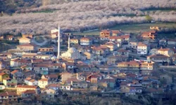 Hekimhan ekonomisi kayısı ve madencilikle canlanıyor