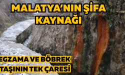 Malatya’nın şifa kaynağı: Egzama ve böbrek taşının tek çaresi
