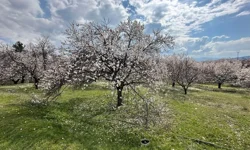 Saç dökülmesi hastalık belirtisi mi?