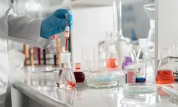 1200 kez klonladılar: 58. nesilde korkunç son!