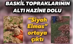 Baskil topraklarının altı hazine dolu: “Siyah Elmas” ortaya çıktı