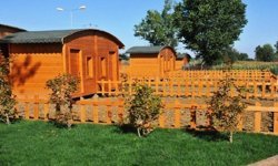 Malatya'da hobi bahçeleri için 'Resmileşme' çağrısı: Yıkım duracak mı?