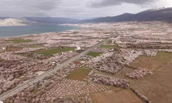 Malatya'da tapusu olanlar dikkat: O tarih değişti, artık zorunlu!