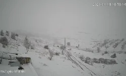 Akçadağ’da korku dolu gece: Kurt sürüsü köye indi!