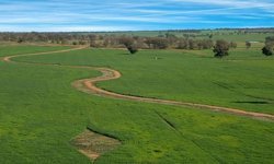 Malatya'da en pahalı arsalar nerede? İşte ilçe sıralaması