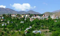 Bakanlık, Arapgir’deki o projeye itiraz için 30 gün süre verdi