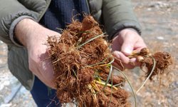 Darende ilçesinde zorlu mesai başladı