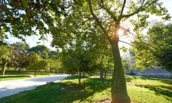 Çöşnük’e millet bahçesi, Zafer Mahallesi’ne 100 araçlık otopark