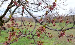 Hasar envanteri çıkarılacak