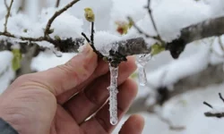 İçişleri Bakanlığı riskli haritayı paylaştı! Malatya var mı?