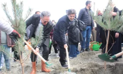 "Kadınlarla El Ele Bir Fidan Bin Nefes" etkinliğinde fidanlar toprakla buluştu