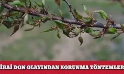 Malatya Valiliğinden zirai don alarmı: Gerekli önlemler alınmalı