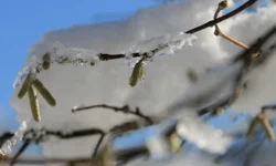 Meteoroloji’den Arapgir, Arguvan, Darende, Doğanşehir, Hekimhan, Kuluncak, Pütürge için kritik uyarı!