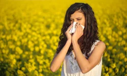 Baharla birlikte gelen polen mevsimi kabusunuz olmasın