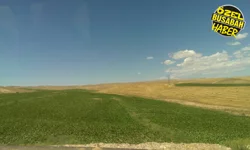 Malatya’da şeker pancarı alarmı: 100 bin tonluk plan risk altında