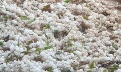 Malatya'da dolu yağışı tarımı vurdu: Çok sayıda ilçe etkilendi