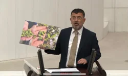 Ağbaba Meclis’te konuştu: “Kayısı yerle bir oldu, don dolu bir de faiz afeti var”