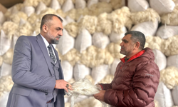 Çöpe giden yünler değer kazandı