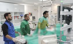 Bıçak altına yatmak yok: Malatya’daki ‘şemsiye’ yöntemi bölgeye örnek oldu